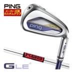 25％OFFクーポン対象 特注カスタムクラブ ピン G Le4 