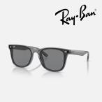 ショッピングサングラス 【日本正規品】レイバン サングラス（RB4391D 645087 65-18）ローブリッジフィット（ポリッシュ トランスペアレント グレー/レンズ：ダークグレー）