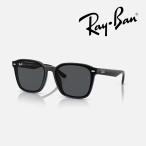ショッピンググラス 【日本正規品】レイバン サングラス（RB4392D 601/87 66）ローブリッジフィット（ポリッシュ ブラック/レンズ：ダークグレー）