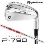 テーラーメイド P・790 アイアン 5本セット （#6〜PW）N.S.PRO MODUS3 TOUR 105 スチールシャフト（日本仕様）2025