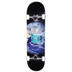 IFO I efo-EARTH COMPLETE earth Complete 8.0 скейтборд скейтборд Complete панель конечный продукт Street 