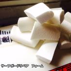 サーフボードリペア 補修用フォーム サーフボード サーフボード修理 ウレタン製サーフボード サーフィン SURFIN