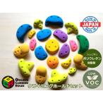 クライミングホールド ネジ止めセット 小〜中サイズ 21個 GCHトラッドスクリューオンホールドセット(A) ポリウレタン製！ 色選択可 保証付 ボルダリング