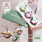  aroma воск саше 3 штук входит меласса . aroma plate подвешивание ниже сухой цветок салон аромат ароматическая свеча ароматические средства dry ароматическая смесь ручная работа аромат 