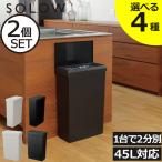 ゴミ箱 45リットル対応 おしゃれ 分別 スリム ダストボックス キッチン用 蓋付き SOLOW ソロウ 隙間で使えるスリムダストボックス ハンドオープン 40L 2個セット