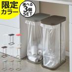 ゴミ箱 おしゃれ 45リットル対応 45l対応 キッチン用 ゴミ袋スタンド 大型 スリム 蓋付き フタ付き 分別ゴミ袋ホルダー LUCE ルーチェ 3個セット