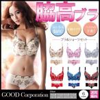 脇肉 補正ブラ ブラ 脇高 バストアップ 補正 育乳 ブラジャー ブラショーツセット