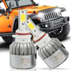 ショッピングfk07 【並行輸入品】p0005-led-parent PSX26W/P13W/12278 P0005-42618C　