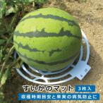 第一ビニール 　３９６７６ すいかのマット ３枚入φ２０ｃｍ