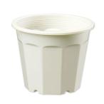  Yamato пластик цветок горшок 5 номер 10 шт крем 1 литров садоводство садоводство 