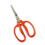  близко правильный (CHIKAMASA) нержавеющая сталь виноград починка .B-500S