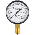  правый внизу Star ( манометр ) S210.6MP