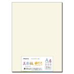 長門屋商店 美彩紙【びさいし】 A4ナチュラル 50枚 ナ-982