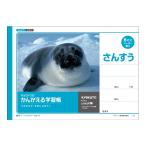 kyoktou..... учеба . san ..6 форель B5 L1 10 шт. 