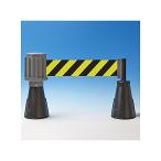  Япония зеленый 10 знак фирма шероховатость a линия цветные конусы для корпус тигр рисунок лента имеется 61-9937-30