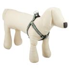 petio(Petio) собака . Tang . Harness зеленый M размер 