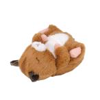  солнечный * Arrow jiro около .K-9152