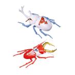 フジミ模型 自由研究シリーズ No.257 タツノコヒーロー編 カブトムシ ガッチャマン仕様/クワガタムシ ポリマー仕様 自由研究-257