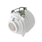 アンドエヌイー(&NE) 萬古焼 蚊やりぶた 日本製 蚊取り線香 蚊取り線香入れ 蚊取り線香ホルダー 萬古焼 陶器 日本伝統 耐熱陶器 風物詩 夏 豚