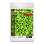  водоросли. вид mini leaf seed( Mini leaf si-do)5g аквариум водоросли .. тропическая рыба 