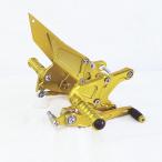 RAYTEC Z900RS задняя подножка Gold анодированный алюминий [ внутренний сборка * осмотр товар товар ]