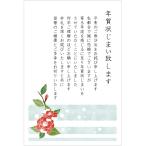 年賀状じまい 葉書 10枚(高齢のため/文字大きめ)私製ハガキ〈S-NJ203 ツバキ〉