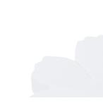 アートフラワー材料 『コスモス 木綿 50枚入り C-76』