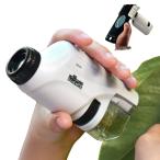  микроскоп максимальный 120 кратный zoom одиночный глаз верх и низ LED свет встроенный портативный микроскоп ребенок образец скользящий день рождения Рождество подарок 