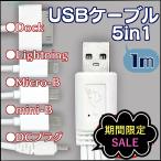 Dockケーブル USB 5in1 充電 minib microb lightning ライトニング DCプラグ DS ipod PC PSP カメラ Android iphone ipad