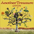 [国内盤CD][新品]カミナリグモ / AnotherTreasure