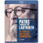 Paths Through the Labyrinth ( зарубежная запись Blue-ray )[ новый товар ]
