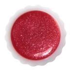 ANNA SUI アナスイ リップカラーX #04 0.9g
