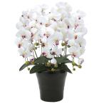  искусственный цветок искусственный цветок . бабочка орхидея организовать [ Deluxe . бабочка орхидея -5шт.@.W/AB белый ( "губа" незначительный красный ) ] фотокаталитический ( воздух чистка ) интерьер растения .... бесплатная доставка 
