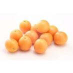  большой реальный золотой . рассада оценка для большой реальный освежение . аромат витамин C питание изобилие 60cm