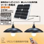 セール ソーラーライト LED ペンダントライト 室内 照明 屋外 おしゃれ  2灯式 電球式 調光 調色 切タイマー機能 リモコン 吊り下げライト 一年保証 TYH-B2K