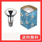  Toshiba re franc p Midget форма 110V 100W форма E26 застежка RF110V95WM
