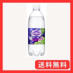 ウィルキンソン タンサン ダブルグレープ 500ml×24本 炭酸水 タンサン