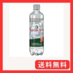 エーピーオー ROSBACHER ロスバッハー(発泡) 500ml×24本