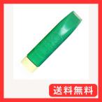 寺西化学 絵の具 水彩 ギタジャンボカラ 220ml 緑 ESJB-T4