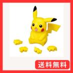 エンスカイ(ENSKY) ポケットモンスタ