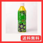 琉球フロント沖縄 山原シークヮーサー 500ml ペットボトル やんばる 山原 世界遺産 原液 シークワーサー (1本)