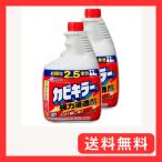まとめ買い カビキラー カビ取り剤 特大サイズ 付替用2本セット 1000g×2本