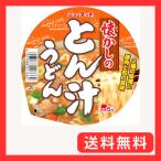 yama большой новый Touch ностальгия. ... udon 95g ×12 шт 