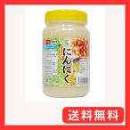 九州ファーム みじん切りにんにく 1kg