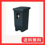 アスベル 密閉ゴミ箱 エバンMP 20L ふた パッキン付き ペダル式 日本製 スリム おしゃれ キッチンに 生ゴミ オムツ 防臭 衛生的 ダス