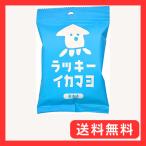 三真 ラッキーイカマヨおかき 34g×12個