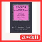 Archesarushu акварель бумага накладка 300g первоклассный 26X36cm 12 листов (1795098) натуральный белый 