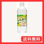 サンガリア 伊賀の天
