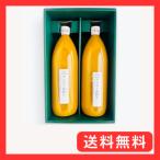 ドリンク マンゴージュース 1000ml2本立て 無添加 無着色 国産入り