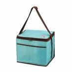 CS автомобиль Ла Манш сумка-холодильник 15L mint green Captain Stag 